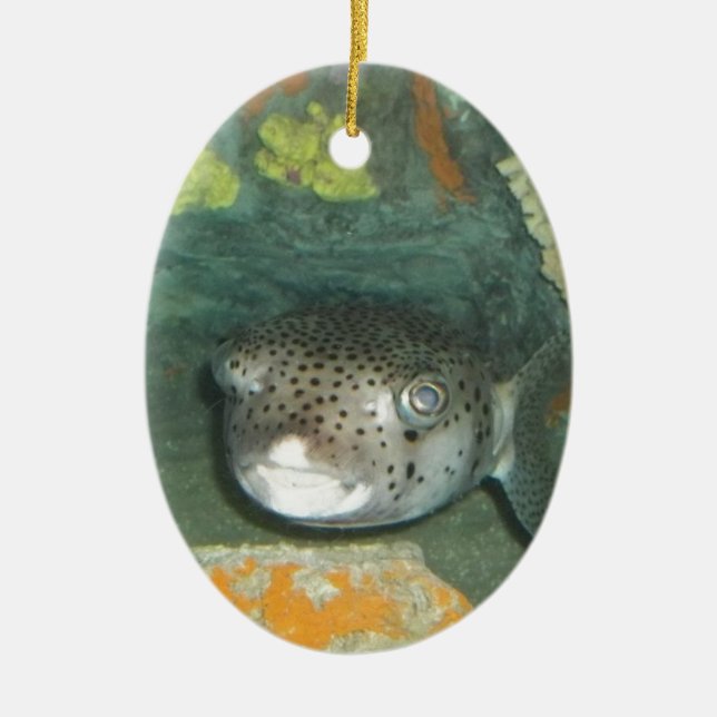 Puffer Fish Ceramic Tree Decoration (Front)