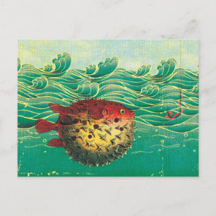 Puffer Fish Postcard