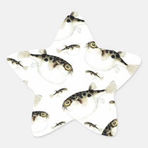 Puffer Fish White Pattern Star Sticker