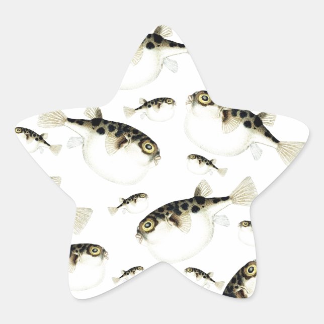 Puffer Fish White Pattern Star Sticker (Front)