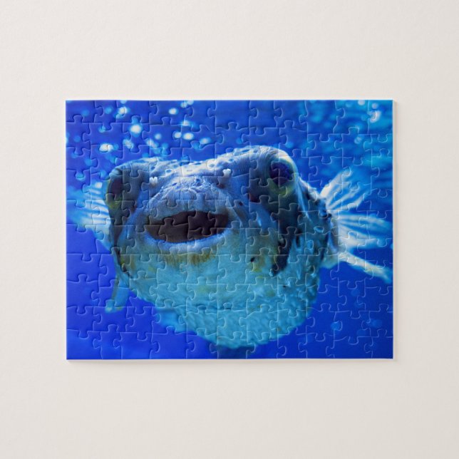 Pufferfish Blue Design Jigsaw Puzzle (Horizontal)