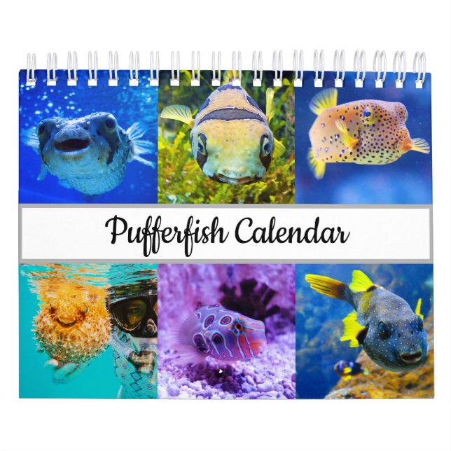 Pufferfish calendar (Cover)