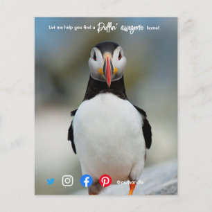 puffin awesome real estate agent marketing  postca flyer