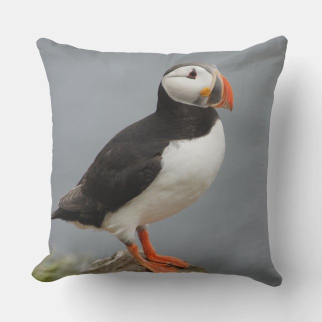 Puffin Bird Antarctic Nature Cushion (Front)