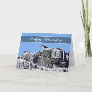 Puffin Birthday Card, Wildelife Card