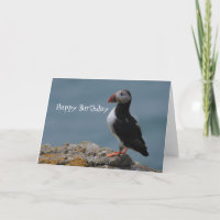 Puffin Birthday Greetings