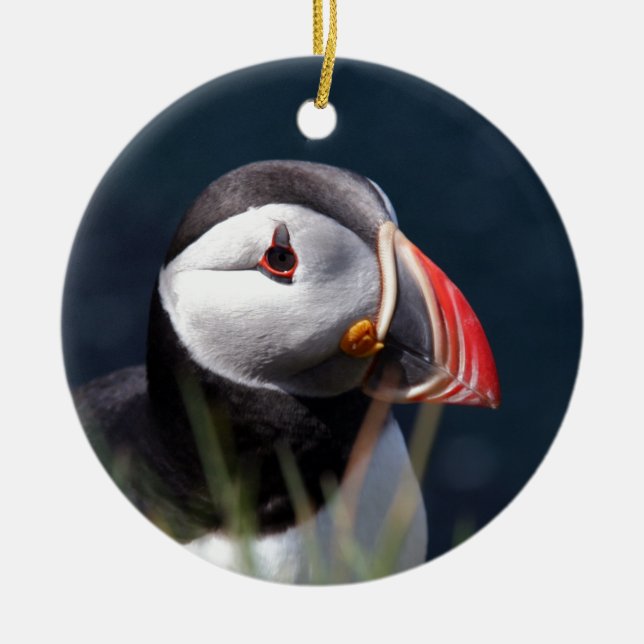 Puffin Ceramic Tree Decoration (Front)