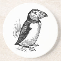Puffin