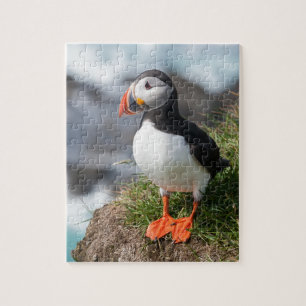 Puffin  Fratercula arctica  at Látrabjarg  Icelan Jigsaw Puzzle