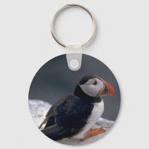 Puffin, Fratercula artica Key Ring