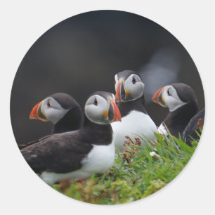 Puffin Gang Classic Round Sticker