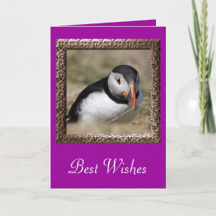 Puffin Greeting Cards