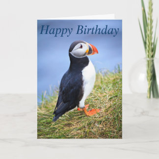 Puffin Happy Birthday Card