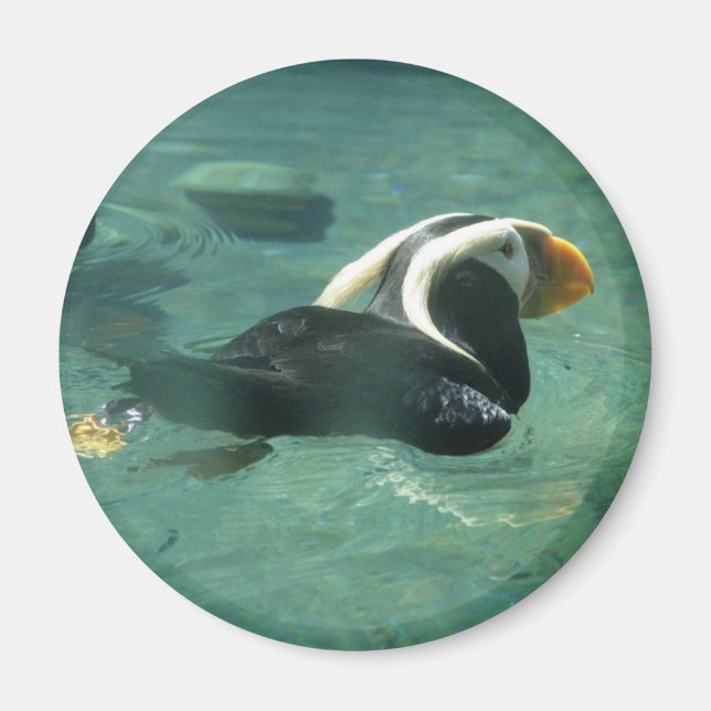 Puffin Magnet (Front)