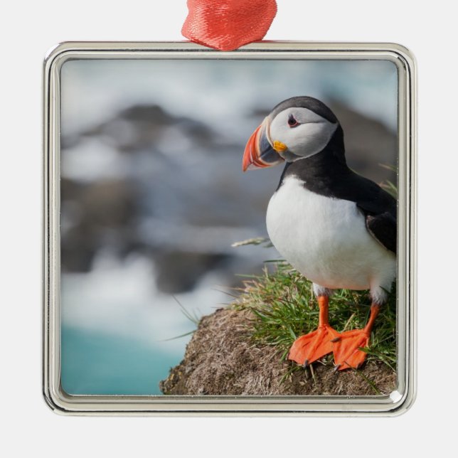 Puffin Metal Tree Decoration (Front)