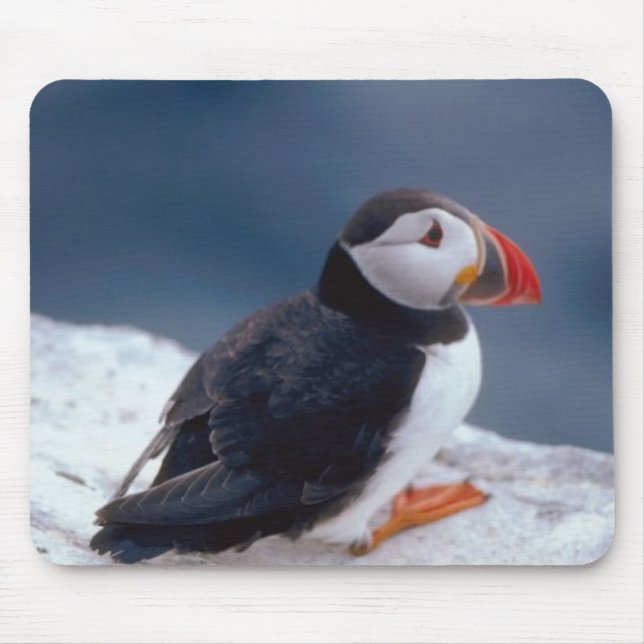 Puffin Mouse Pad (Front)