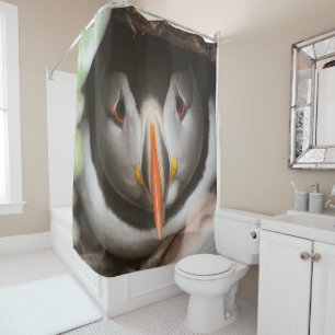 Puffin photograph shower curtain