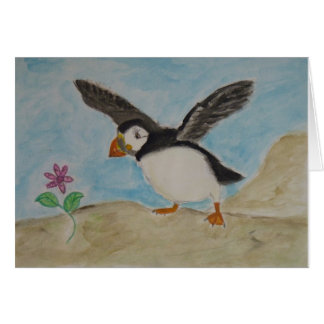 puffin pleasures