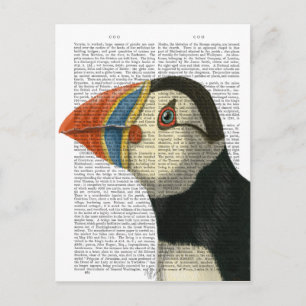 Puffin Portrait Postcard