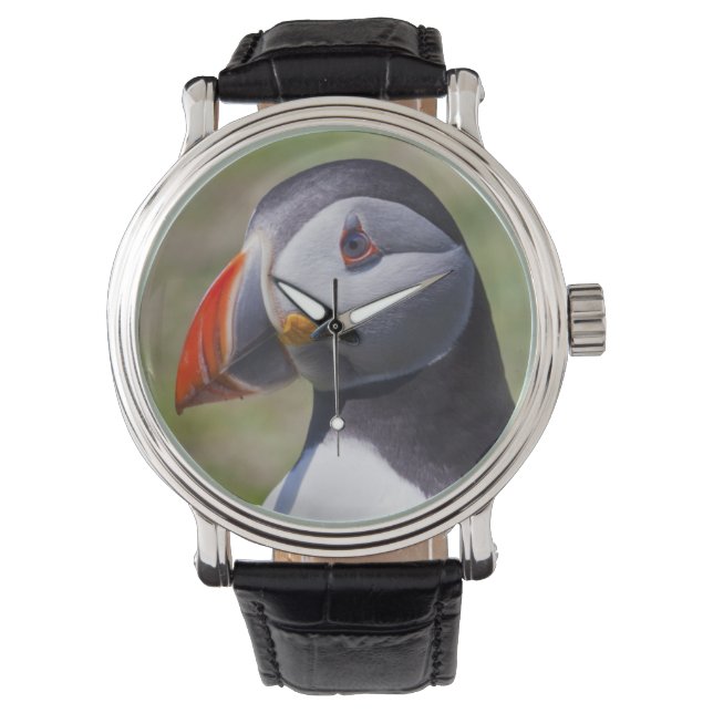 Puffin Portrait Watch (Front)
