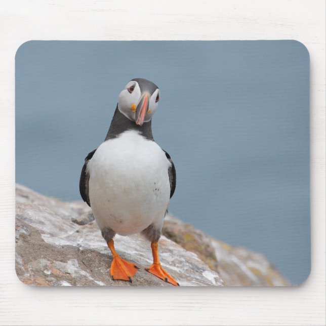 Puffin Pose Mouse Pad (Front)