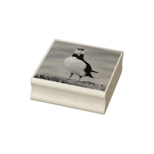 Puffin Stamp