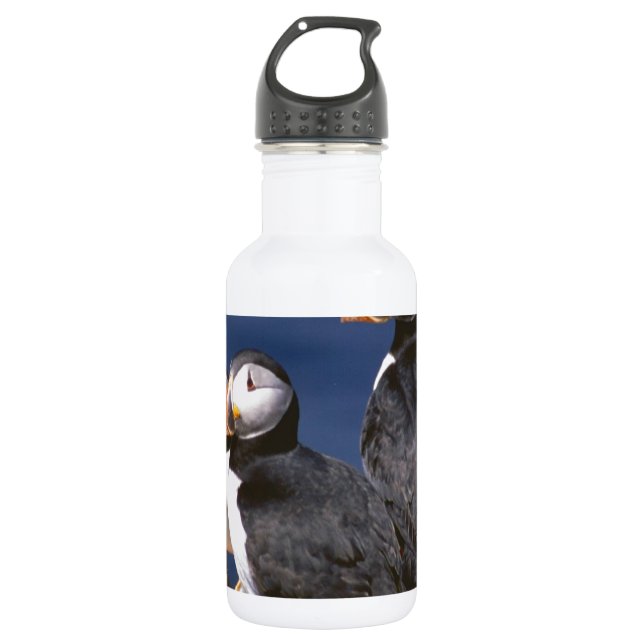 Puffin-tastic 532 Ml Water Bottle (Front)