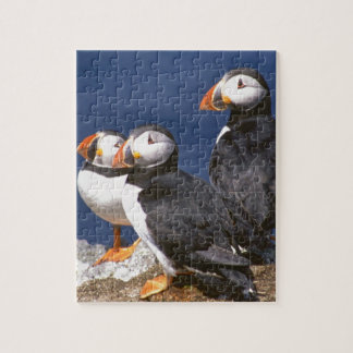 Puffin-tastic Jigsaw Puzzle