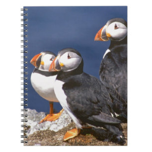 Puffin-tastic Spiral Notebook