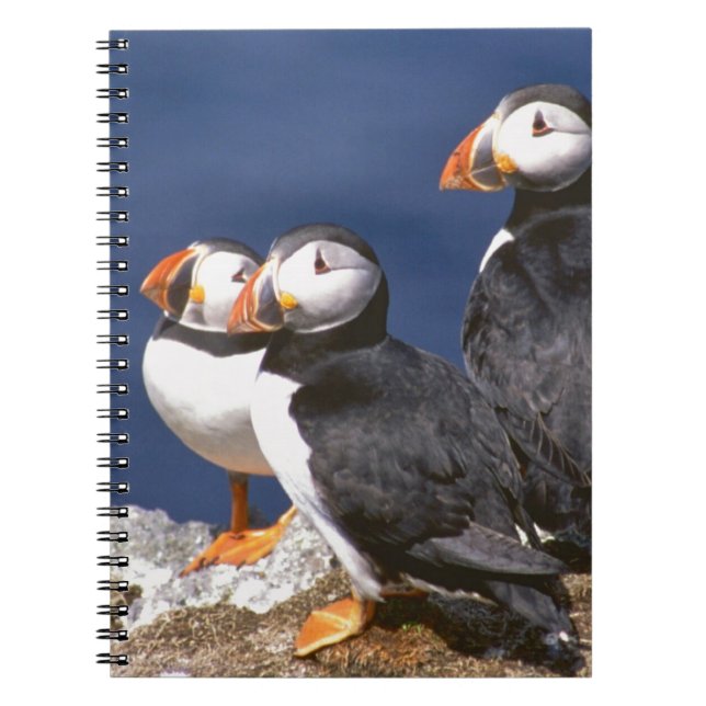 Puffin-tastic Spiral Notebook (Front)