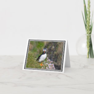 Puffin! The Isle of Staffa, Scotland Card
