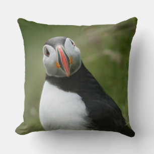 Puffin throw pilows cushion