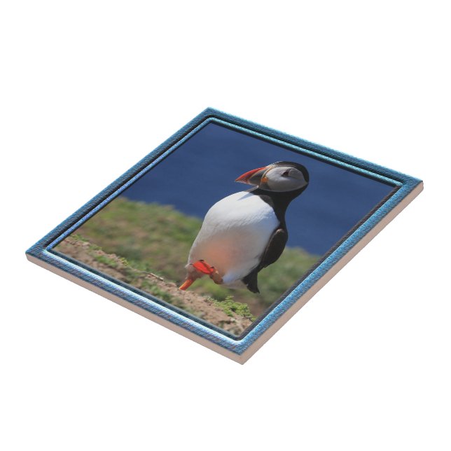 Puffin Tile (Side)