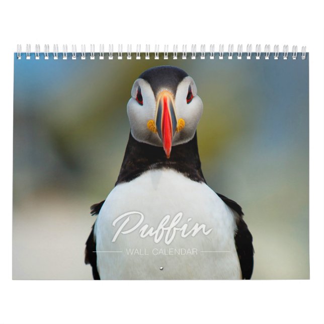 Puffin Wall Calendar (Cover)