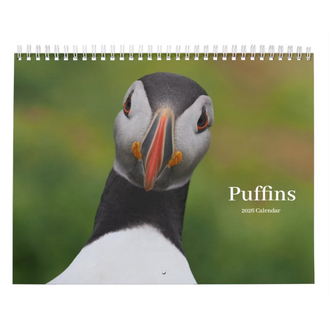 Puffins Calendar (Cover)