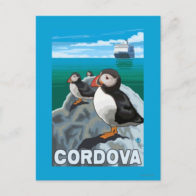 Puffins & Cruise Ship - Cordova, Alaska Postcard (Front)