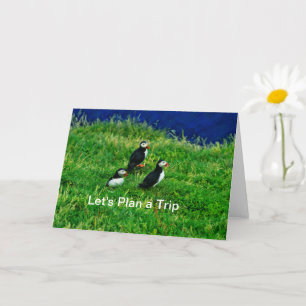 Puffins greeting Card