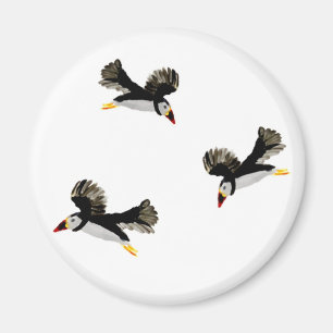 Puffins in Flight Coastal Bird Art Magnet