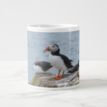 Puffins on Farne Islands