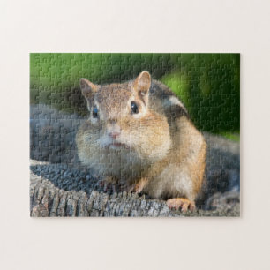 Puffy Cheeked Chipmunk Jigsaw Puzzle