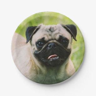 pug-13 paper plate