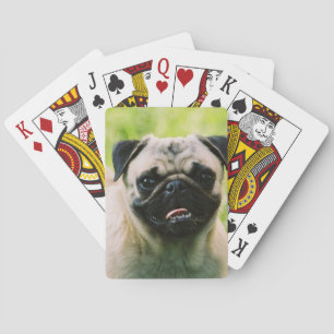 pug-13 playing cards