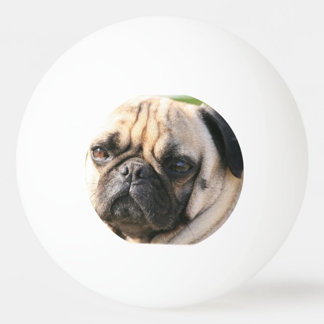 pug-18 ping pong ball (Front)
