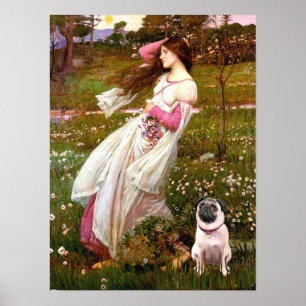 Pug 1 - Windlfowers Poster