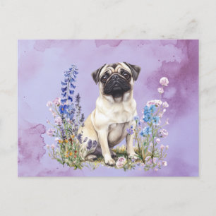 Pug 2 - Postcard