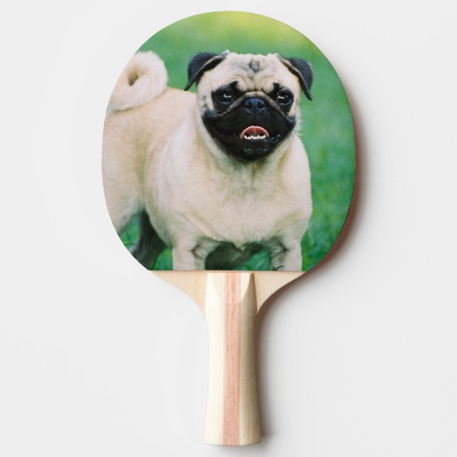 pug-30.jpg ping pong paddle (Front)