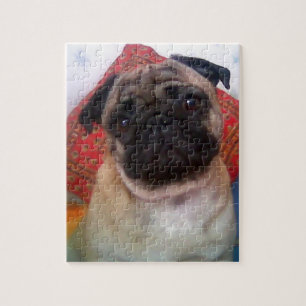 pug 4.png jigsaw puzzle