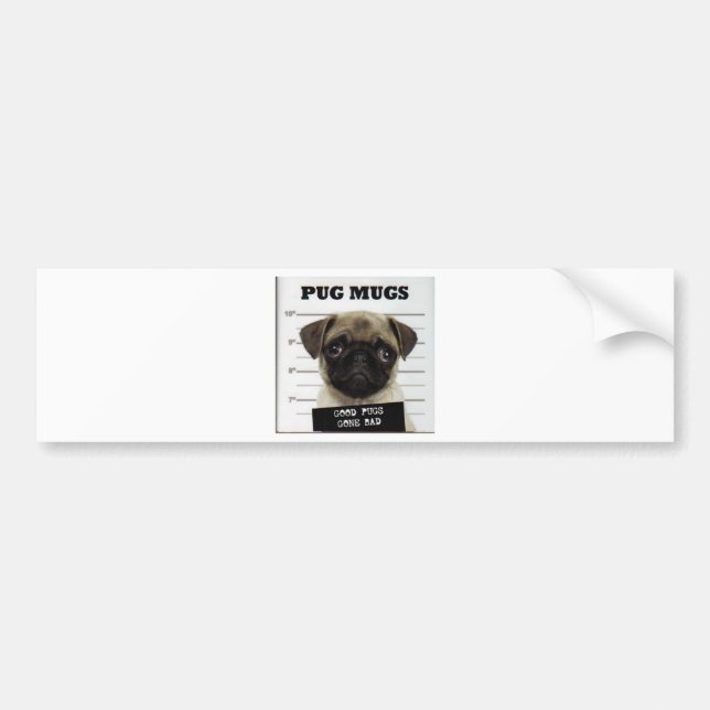 pug_5 bumper sticker (Front)