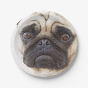 pug-7 paper plate