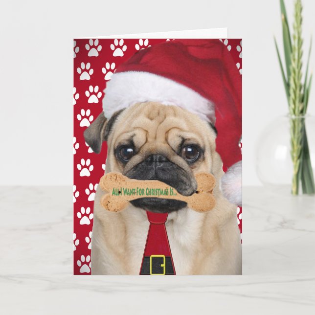 Pug All I Want For Christmas Cards (Front)